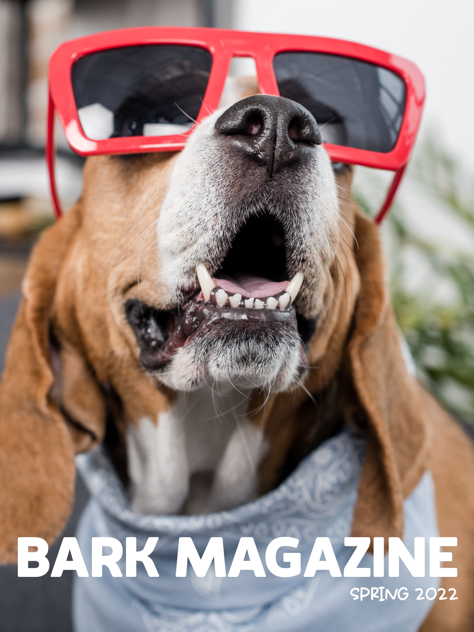 bark_layout1 ebook cover