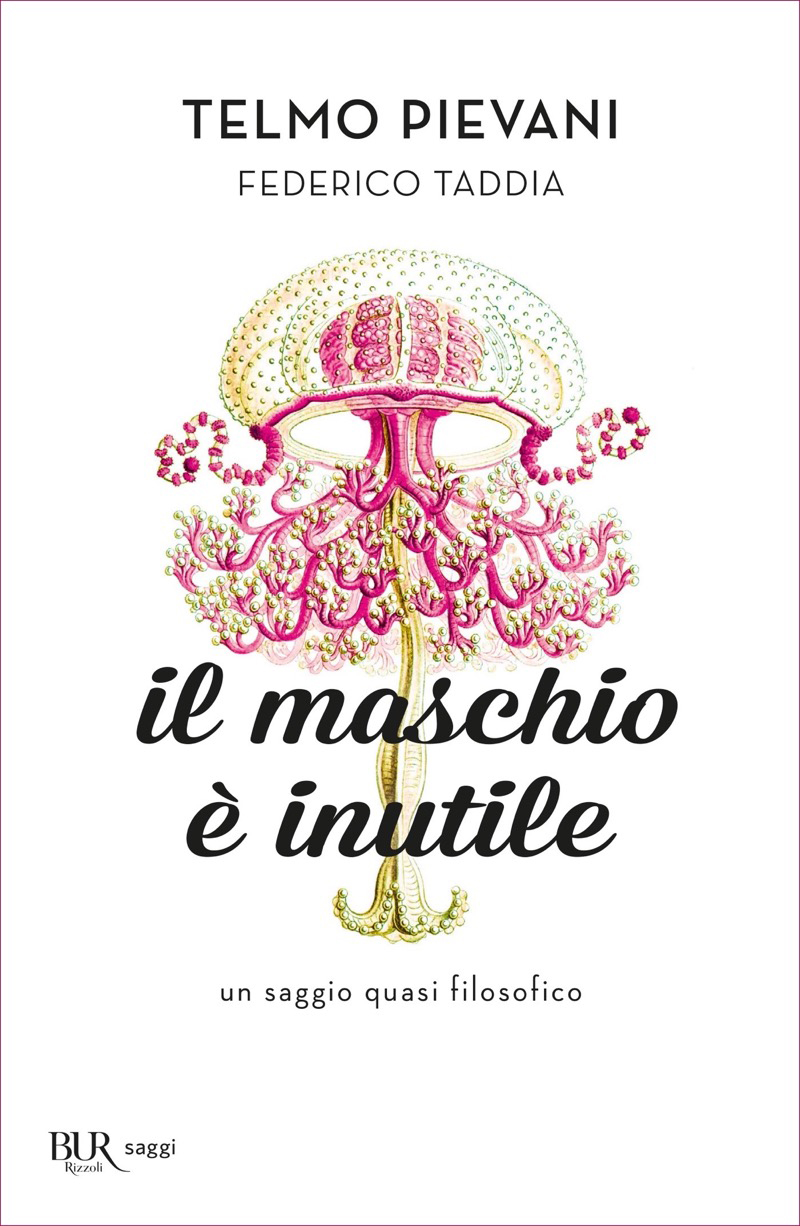 Il maschio &Atilde;&uml; inutile ebook cover