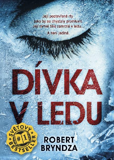 D&Atilde;&shy;vka v ledu ebook cover