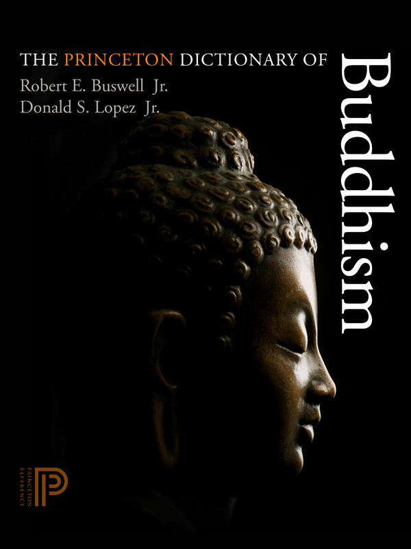 The Princeton Dictionary of Buddhism ebook cover