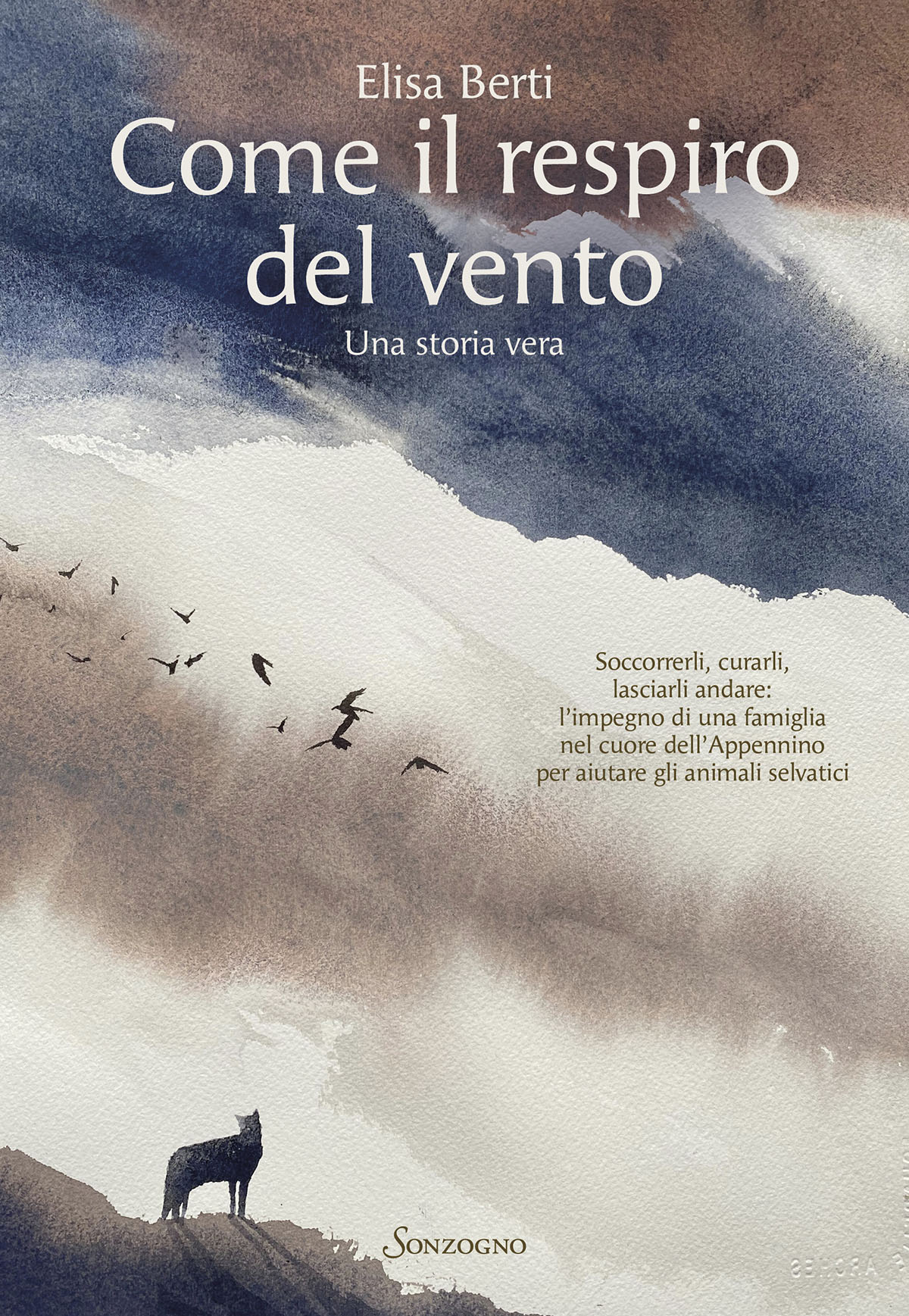 Come il respiro del vento ebook cover