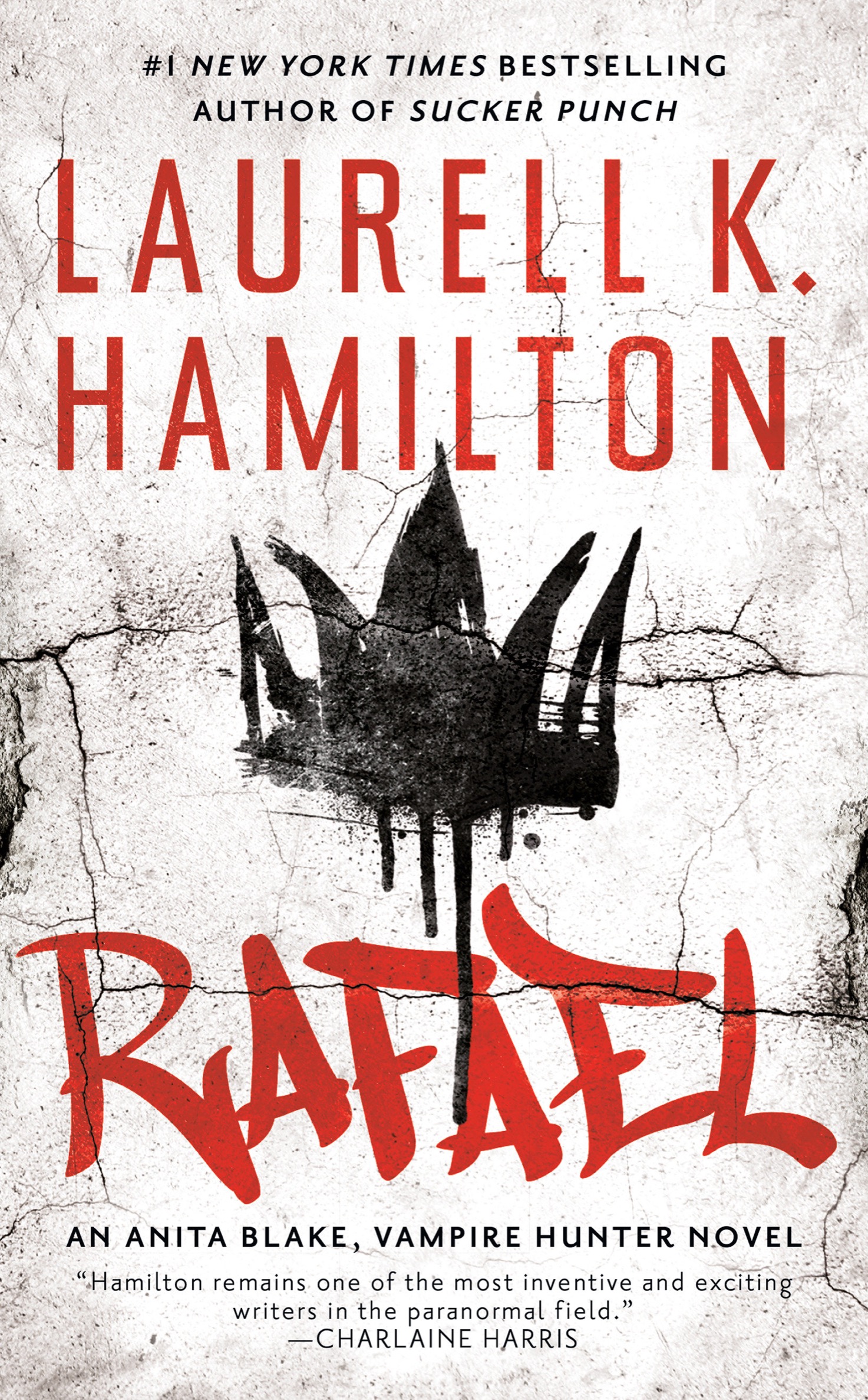 Rafael ebook cover