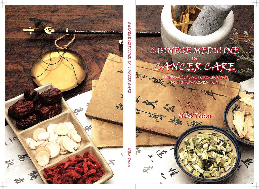 Chinese Medicine in cancer care: Herbs-acupuncture-qi gong-nutrition-prevention ebook cover
