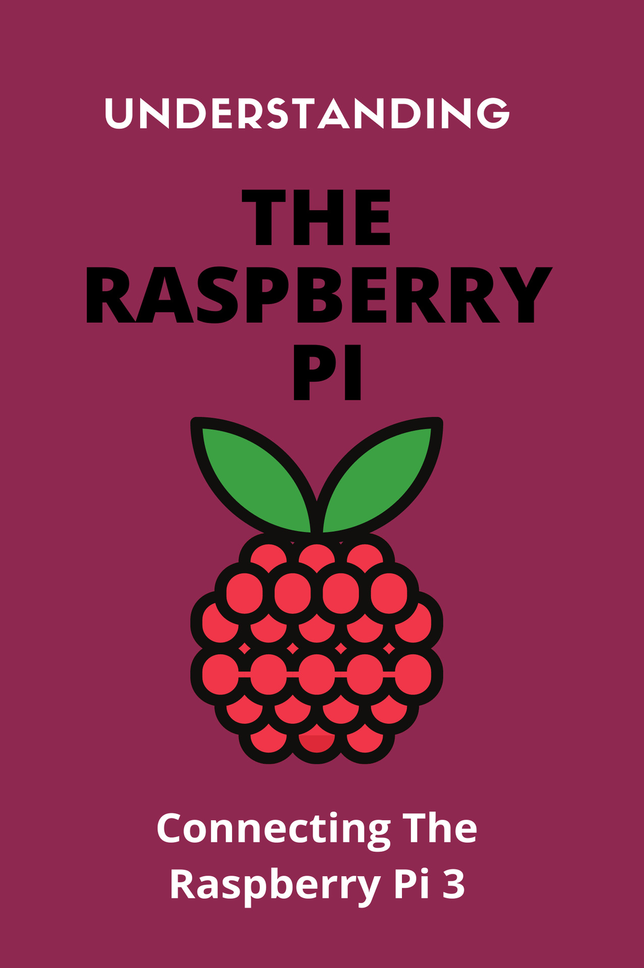 Understanding The Raspberry Pi: Connecting The Raspberry Pi 3: Raspberry Pi Appliances ebook cover