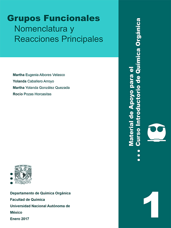 Grupos Funcionales. Nomenclatura y Reacciones Principales ebook cover