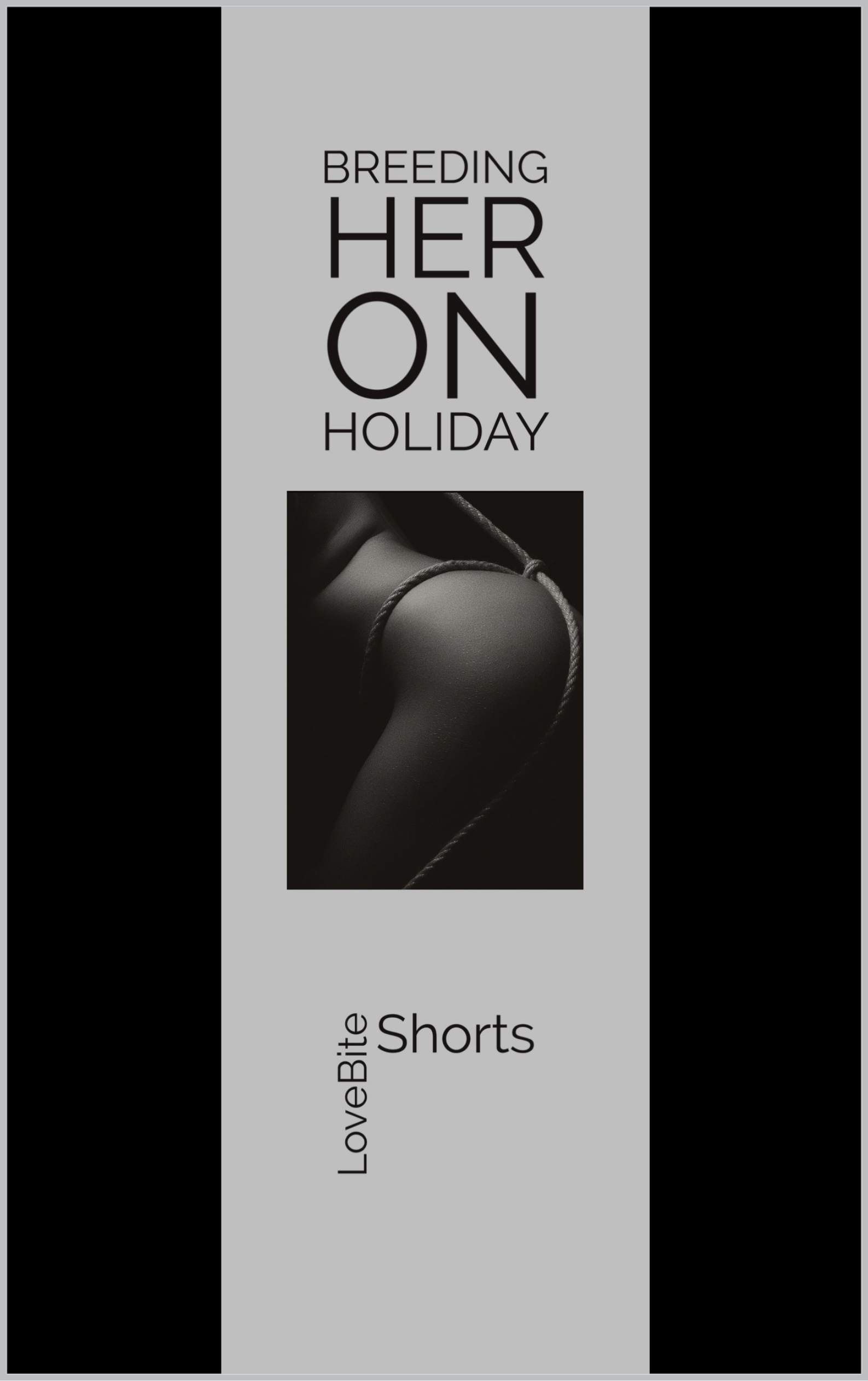 Breeding Her on Holiday (Breeding Her - The Dark Edition Book 3) ebook cover