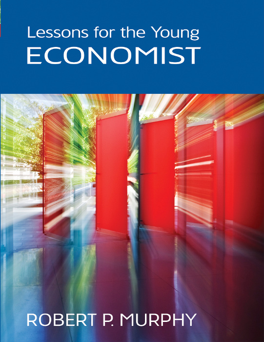 Lessons for the Young Economists ebook cover