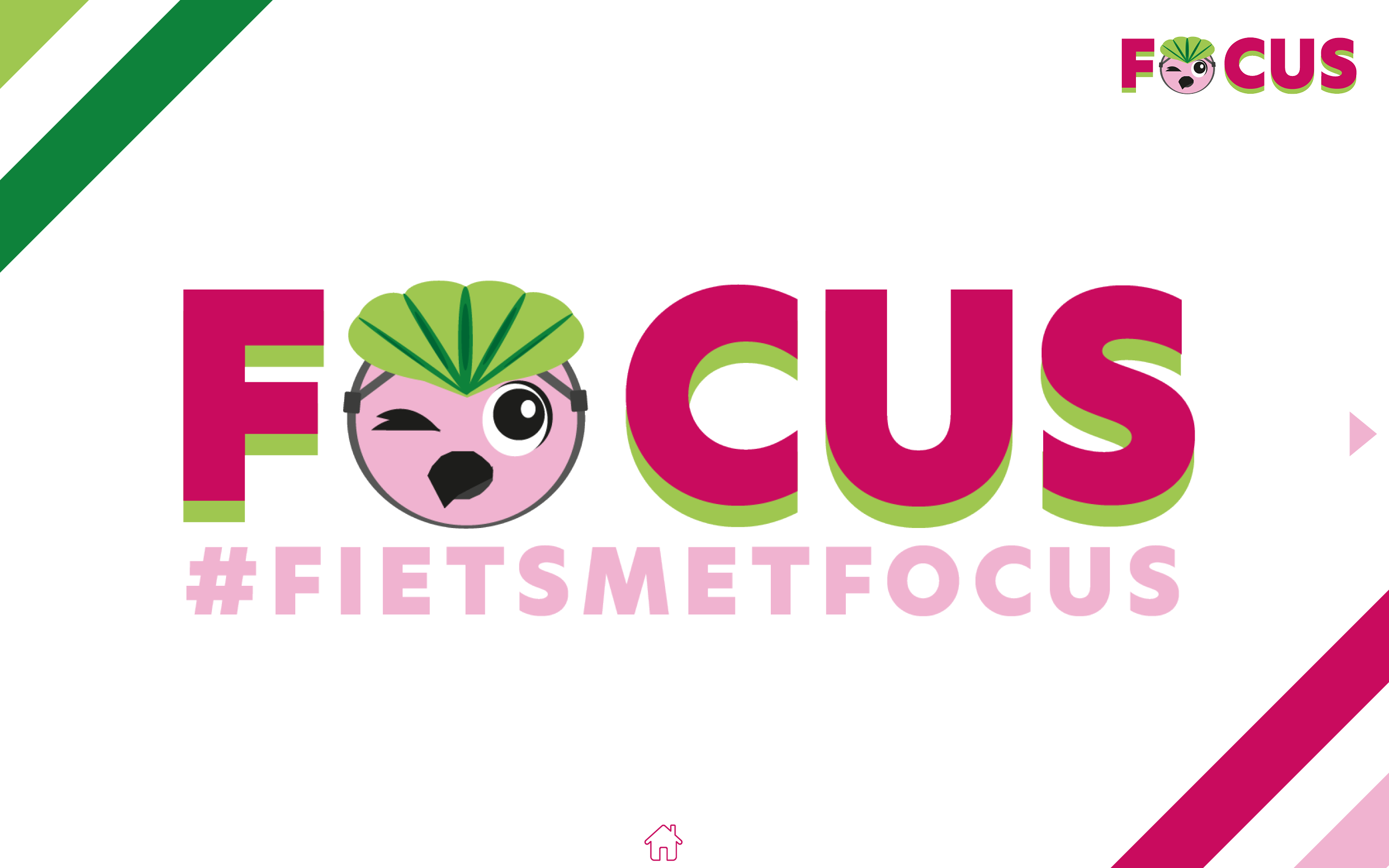 ePub - Focus ebook cover