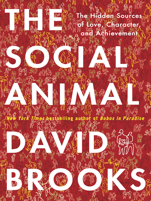 The Social Animal ebook cover