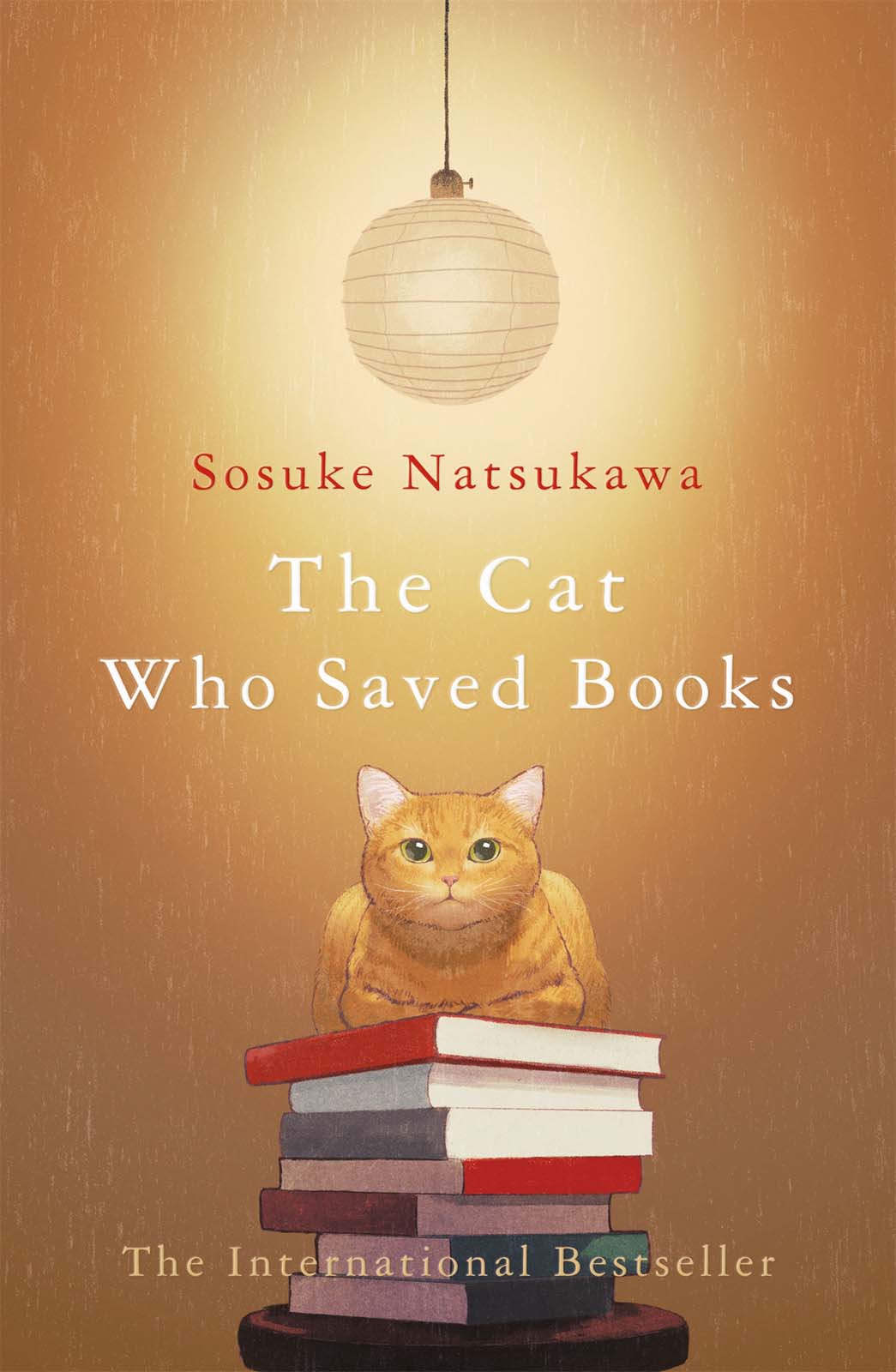 The Cat Who Saved Books ebook cover