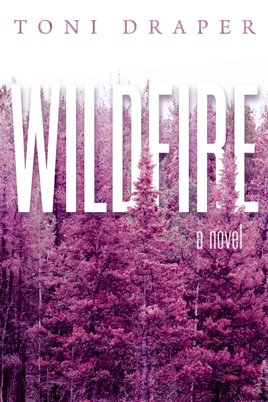 Wildfire ebook cover