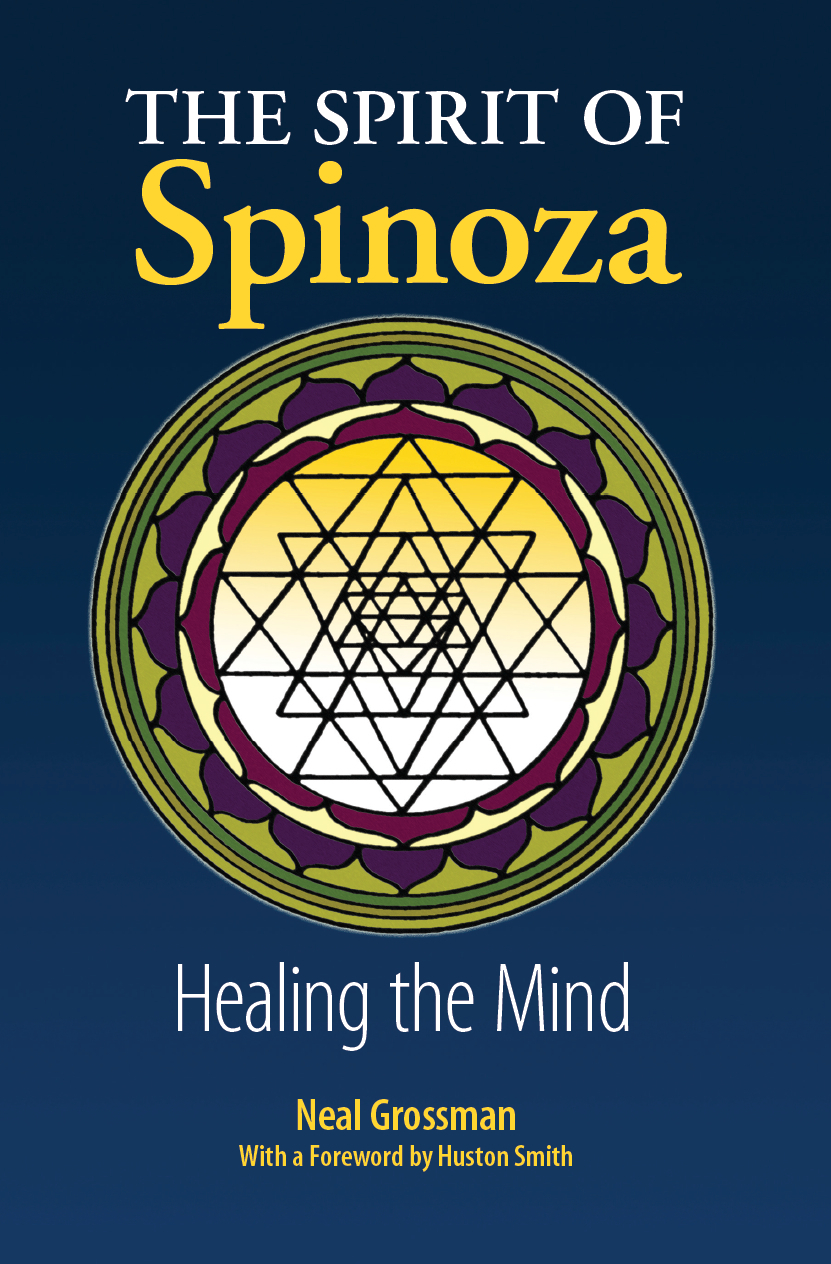 The Spirit of Spinoza: Healing the MInd ebook cover
