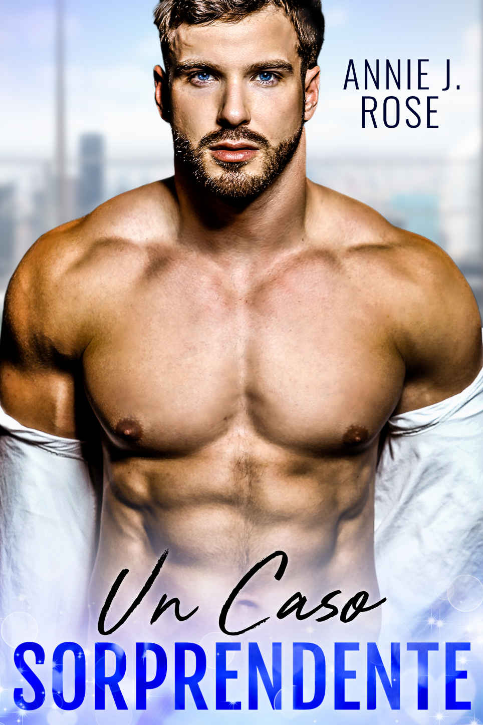 Un Caso Sorprendente (Italian Edition) ByVaSco  ebook cover