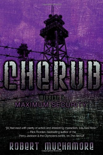 Maximum Security ebook cover
