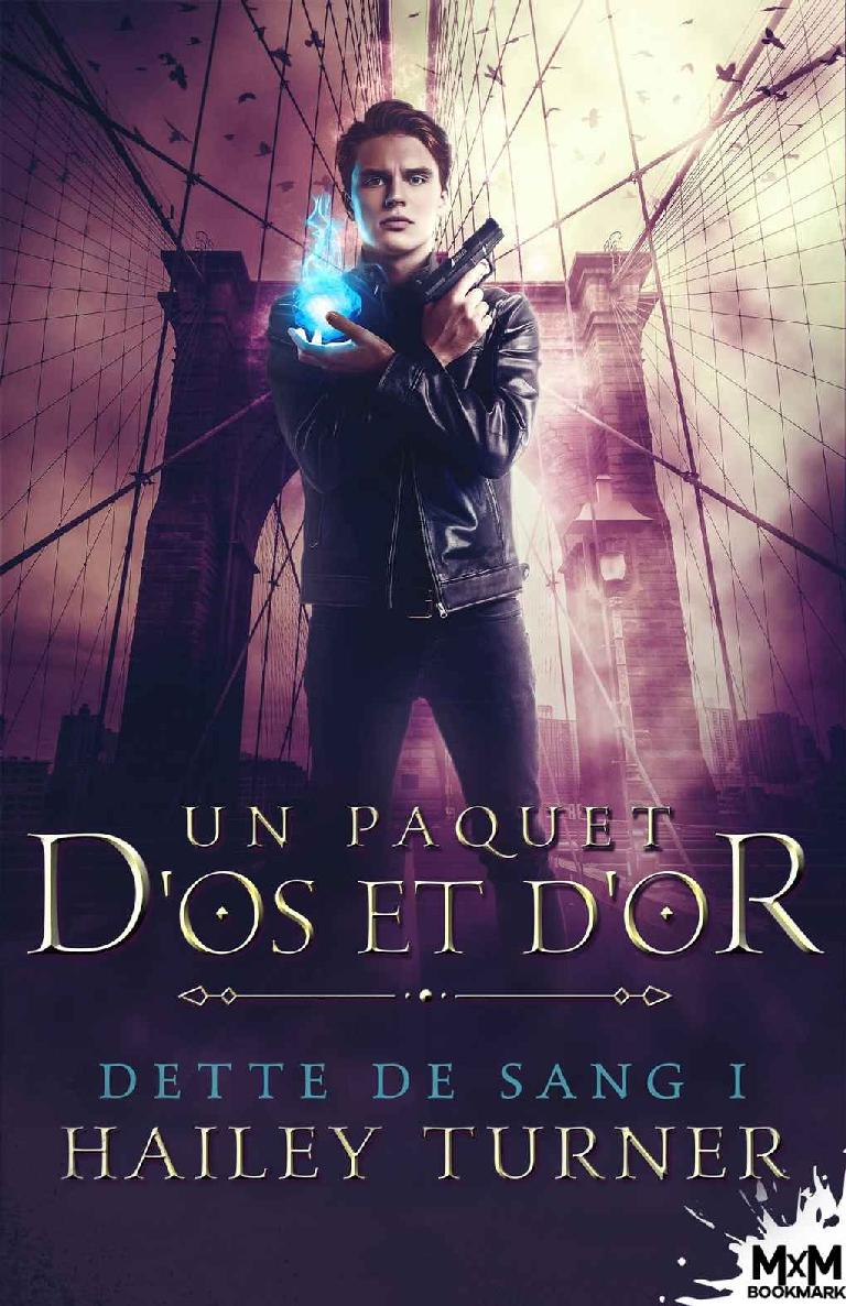 Un paquet d'os et d'or (Dette de sang T1) ebook cover