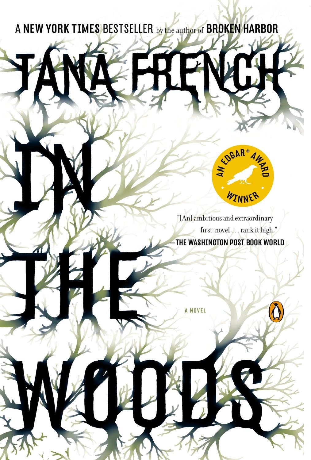 Dublin Murder Squad 1 - In the Woods ebook cover