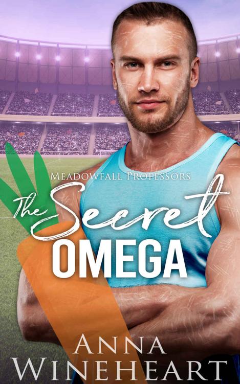 The Secret Omega: An MPreg Romance (Meadowfall Professors Book 4) ebook cover