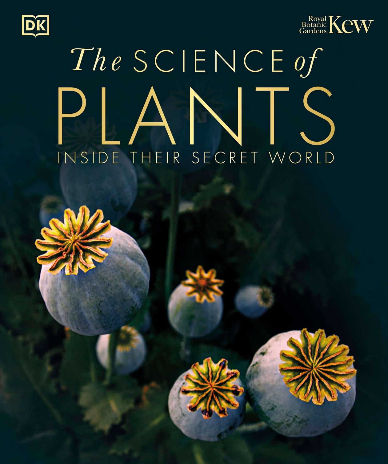 The Science of Plants: Inside their Secret World ebook cover