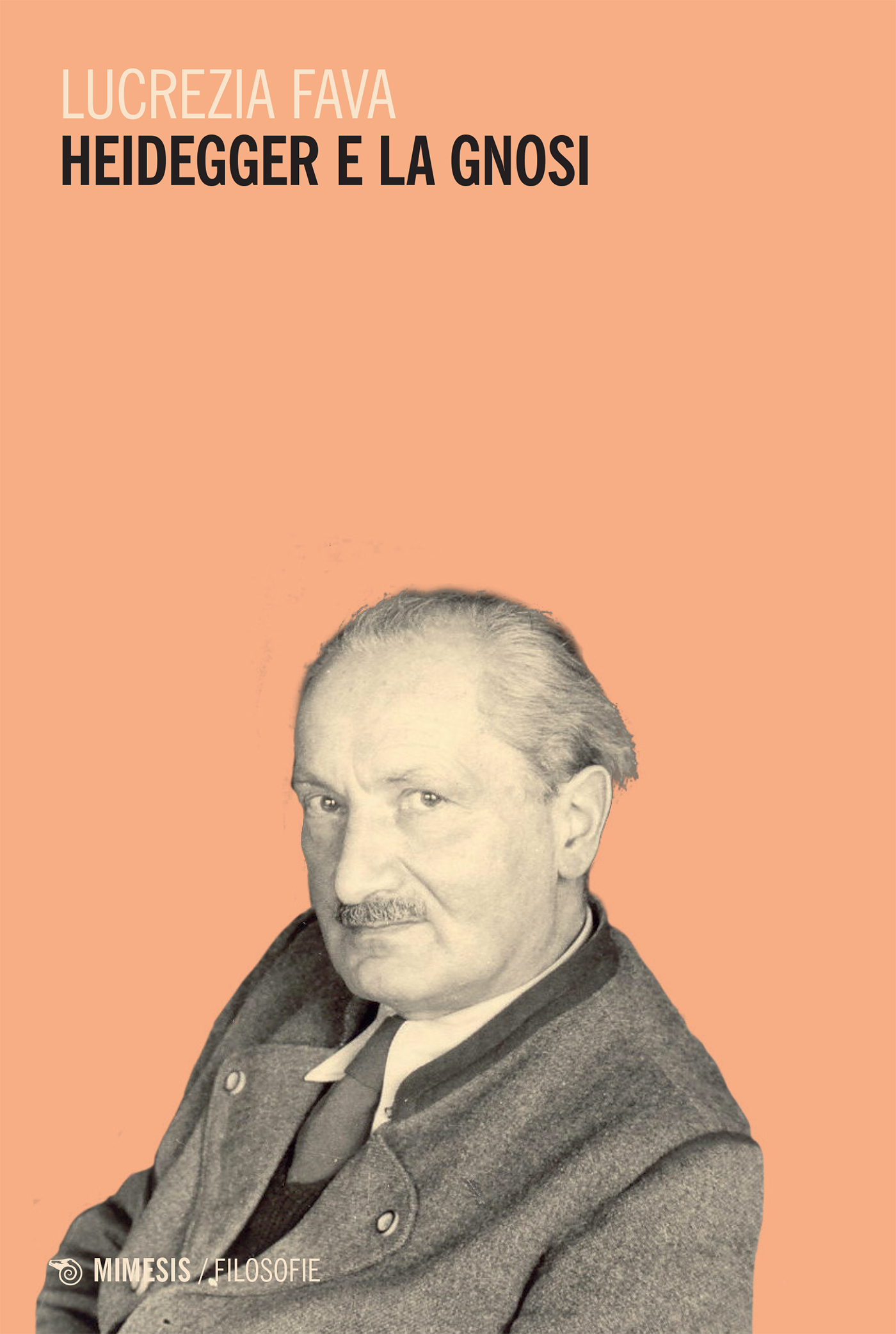 Heidegger e la gnosi ebook cover