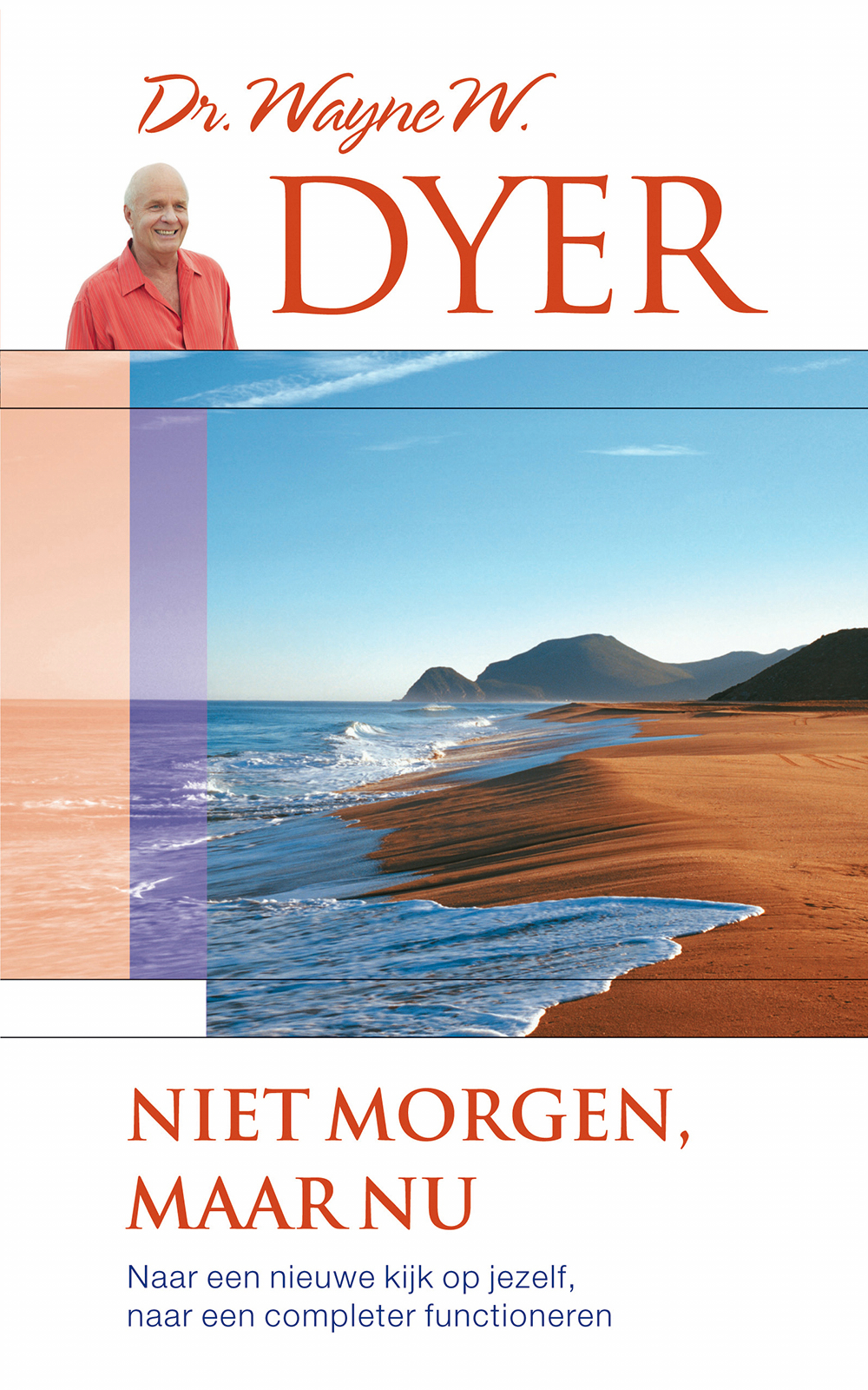 Niet morgen, maar nu ebook cover