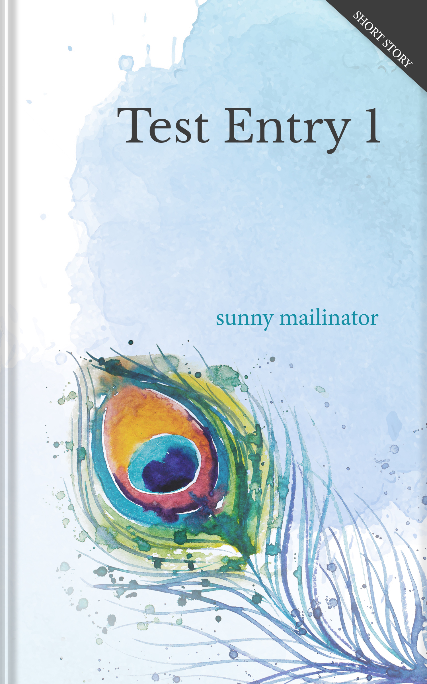 Test Entry 1 ebook cover