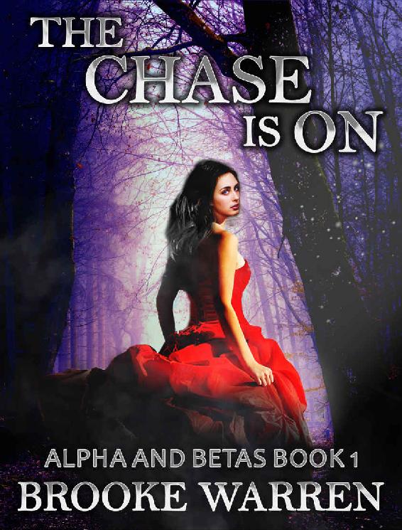 The Chase Is On (Alpha and Betas Book 1) ebook cover