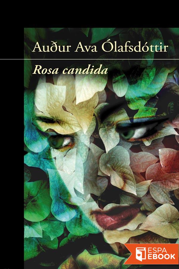 Rosa candida ebook cover