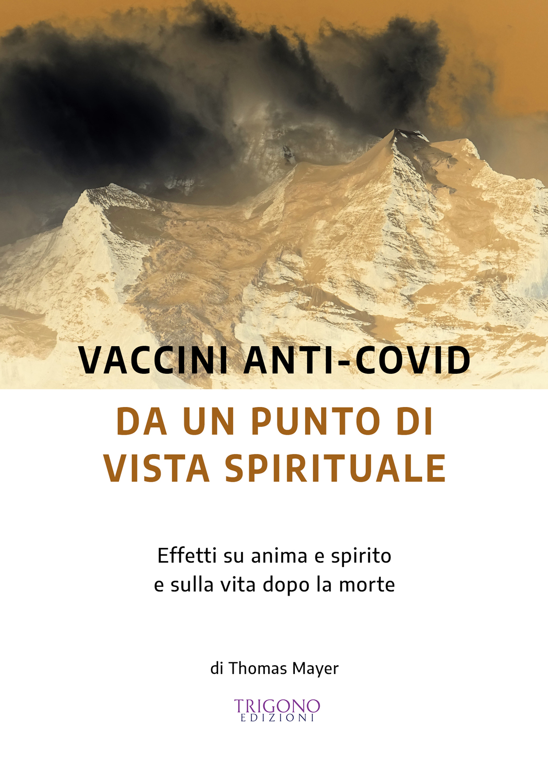 Vaccini Anti-Covid da un Punto di Vista Spirituale ebook cover