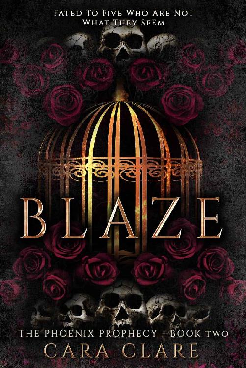 The Phoenix Prophecy: Blaze ebook cover