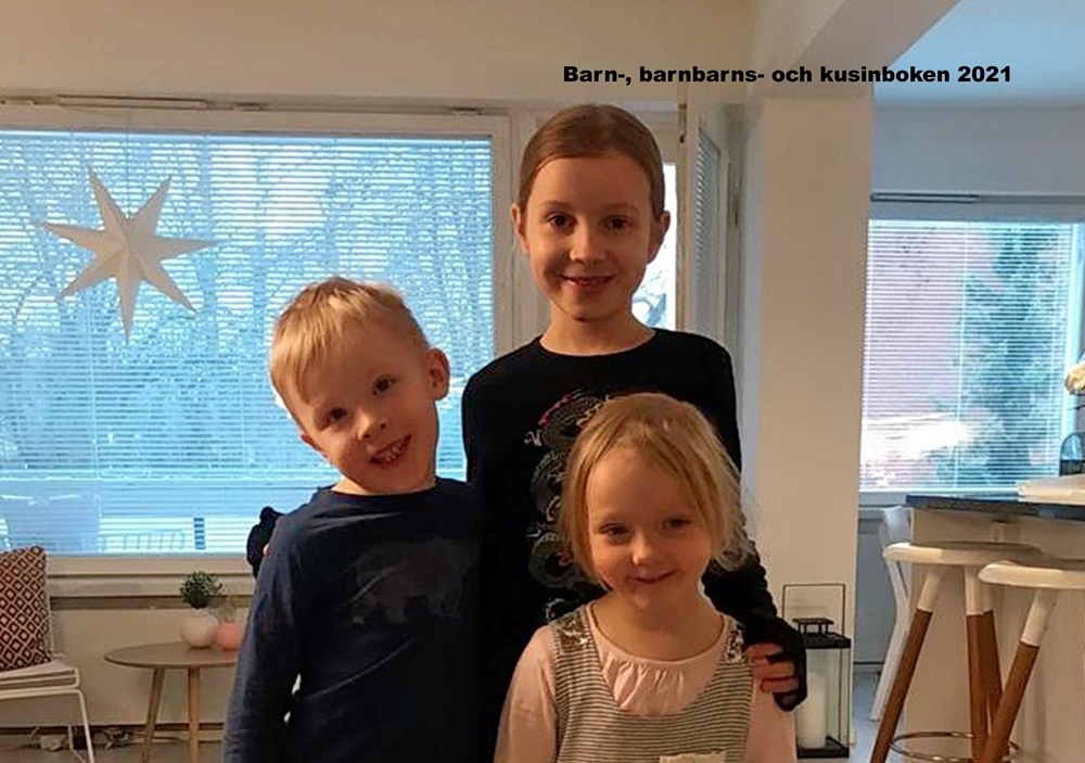 Deluxe-kuvakirja, A4 vaaka 26 ebook cover