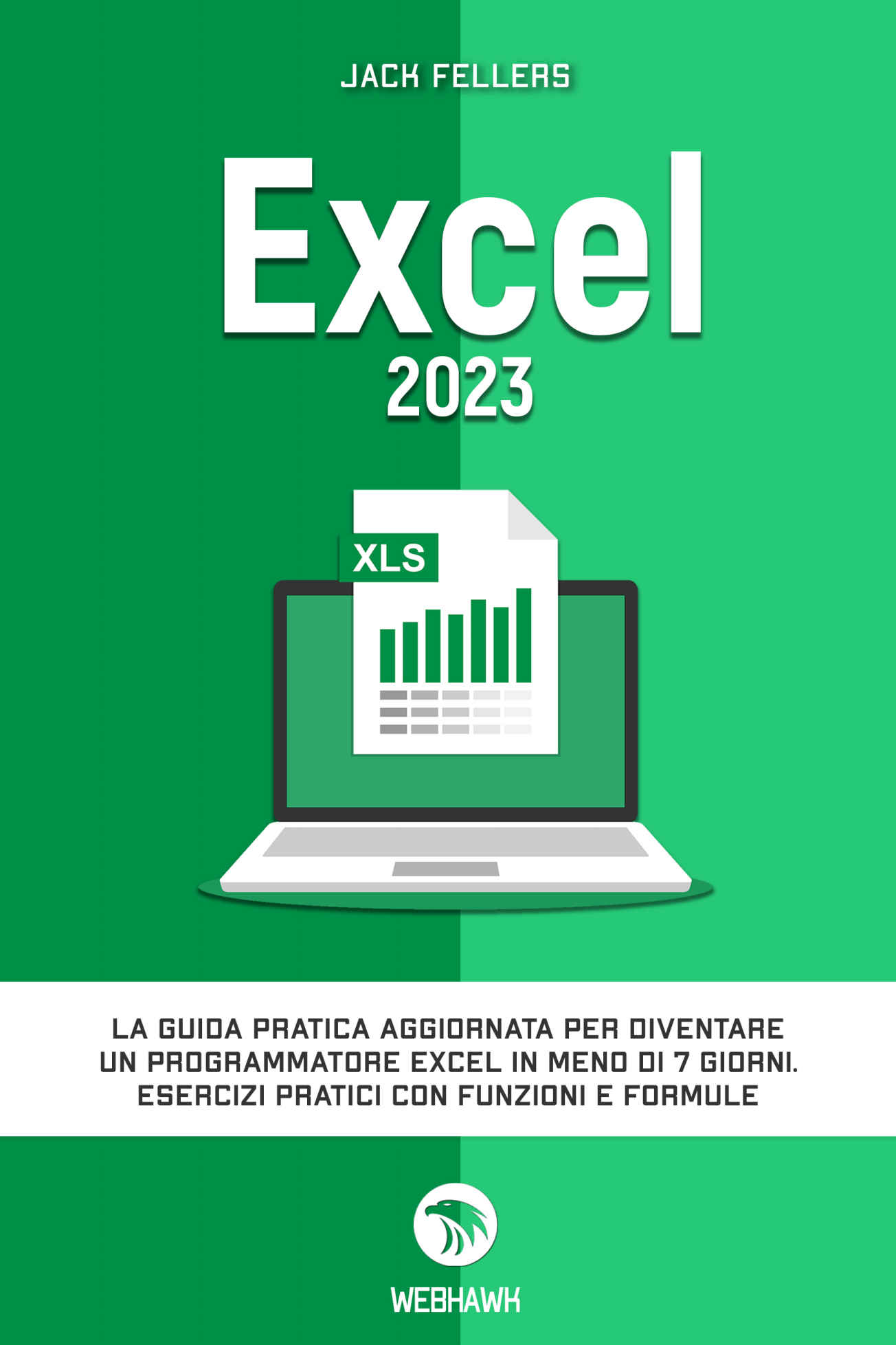 EXCEL: La guida pratica aggiornata per diventare un programmatore Excel in meno di 7 giorni. Esercizi pratici con funzioni e formule. (Italian Edition) ebook cover