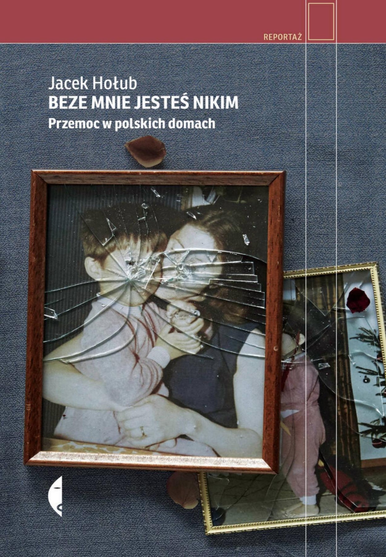 Beze mnie jeste&Aring;&rsaquo; nikim. Przemoc w polskich domach ebook cover