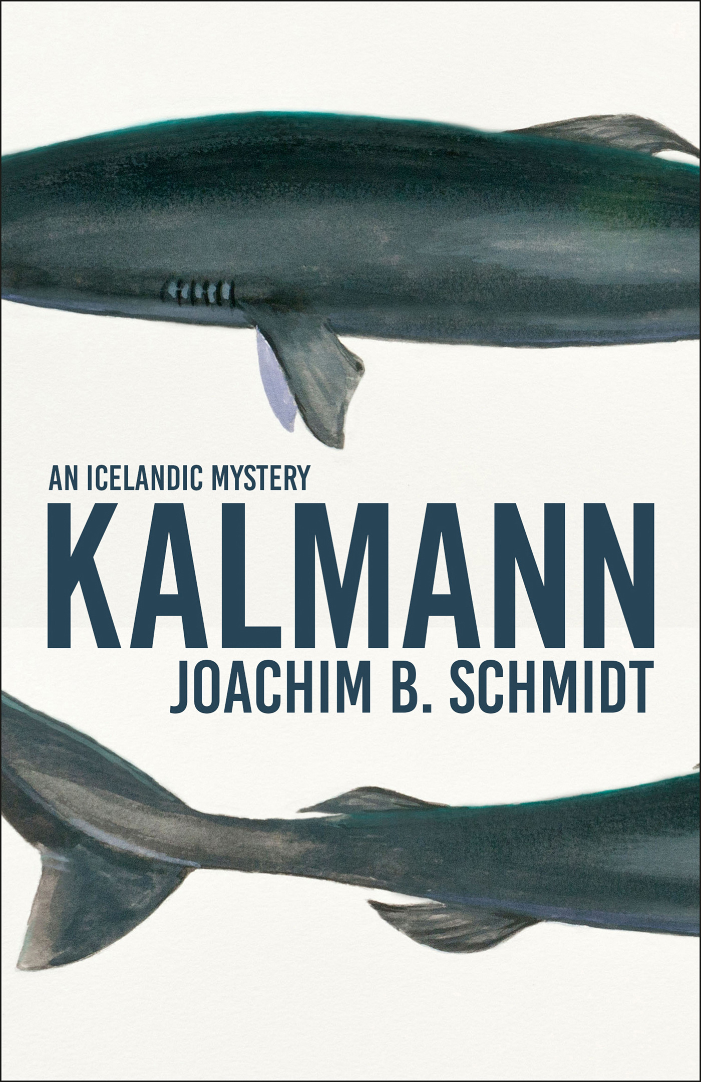 Kalmann ebook cover