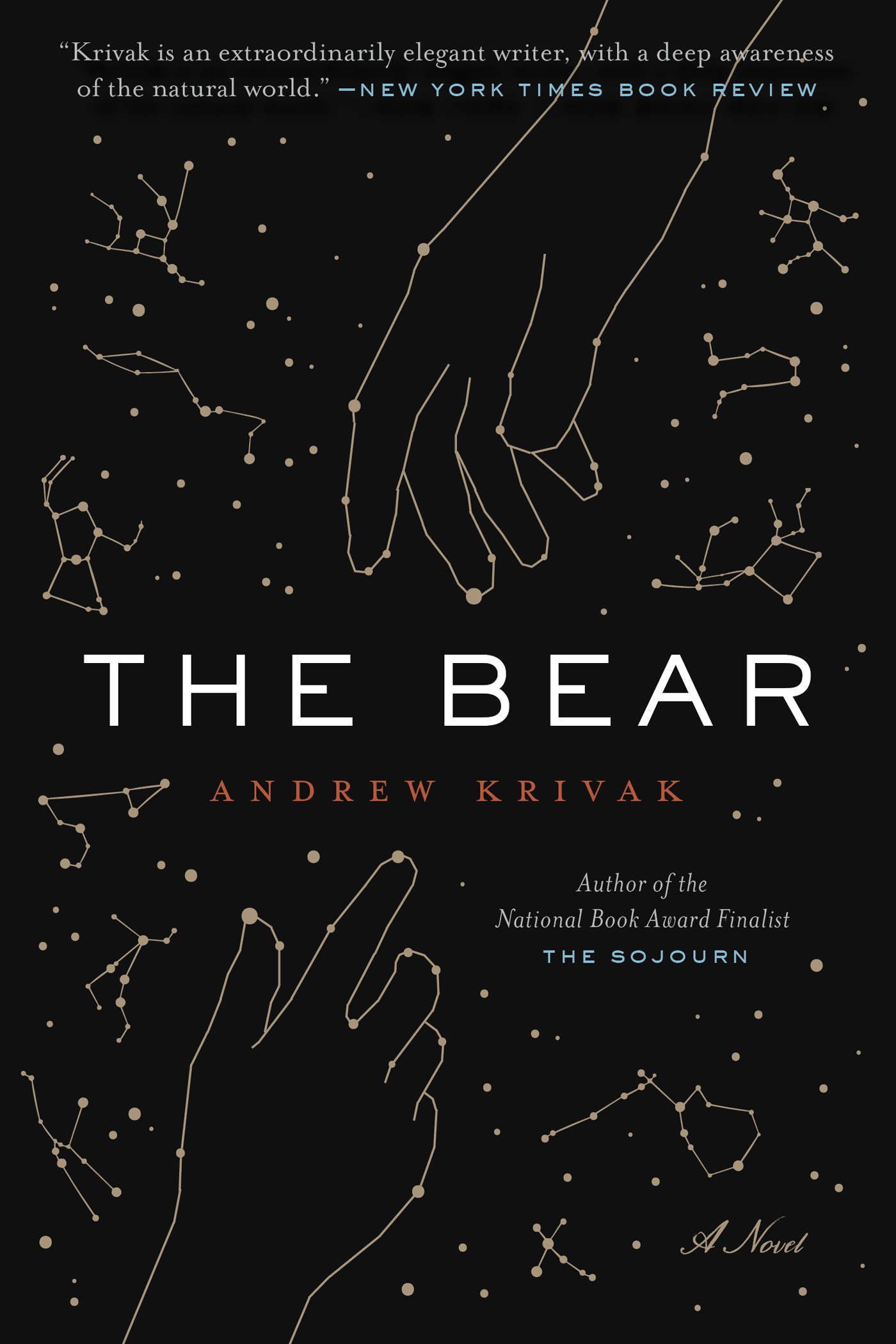 The Bear ebook cover