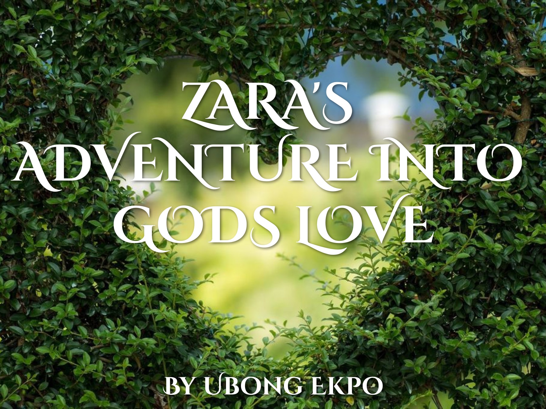 A new book ebook cover