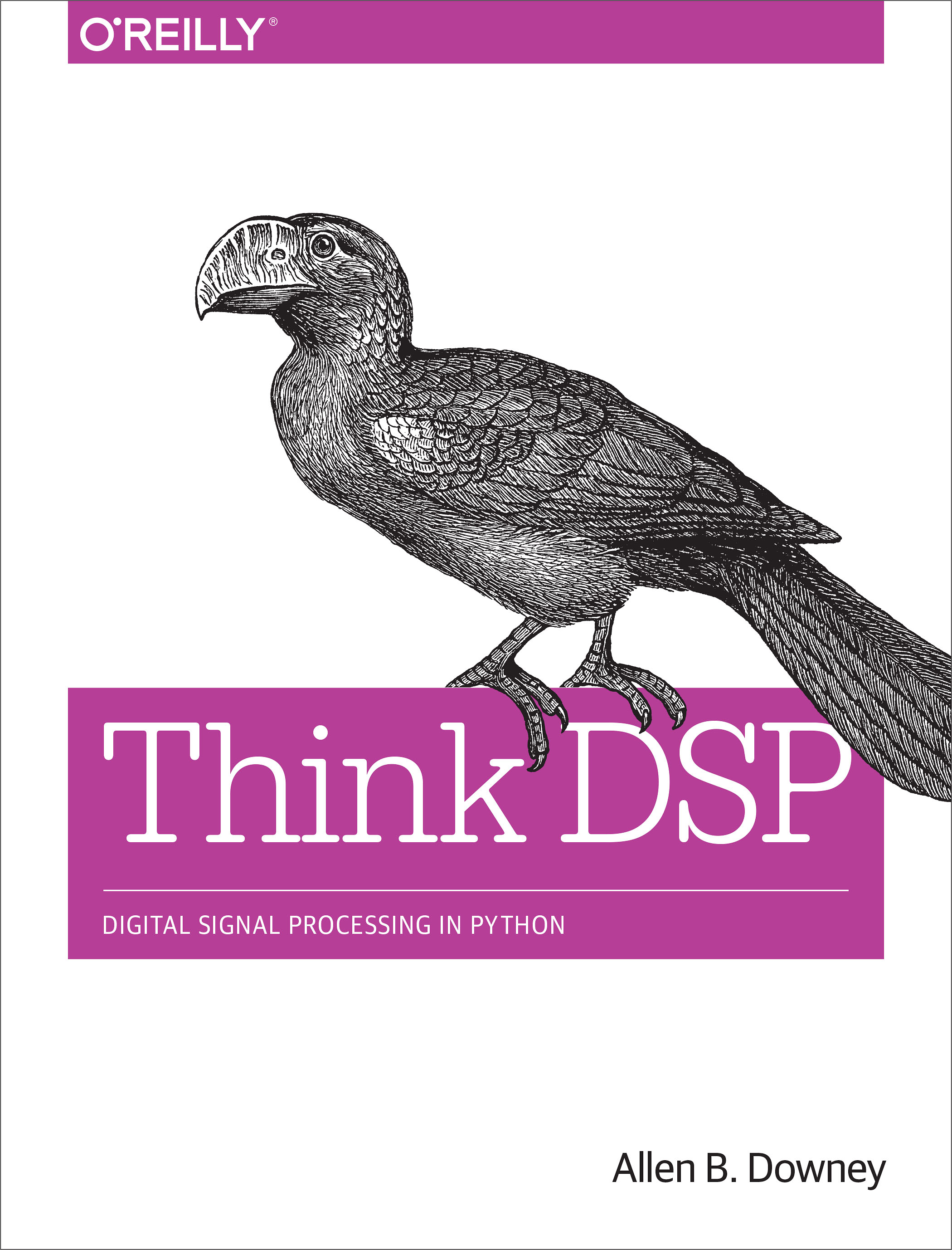 Think DSP ebook cover