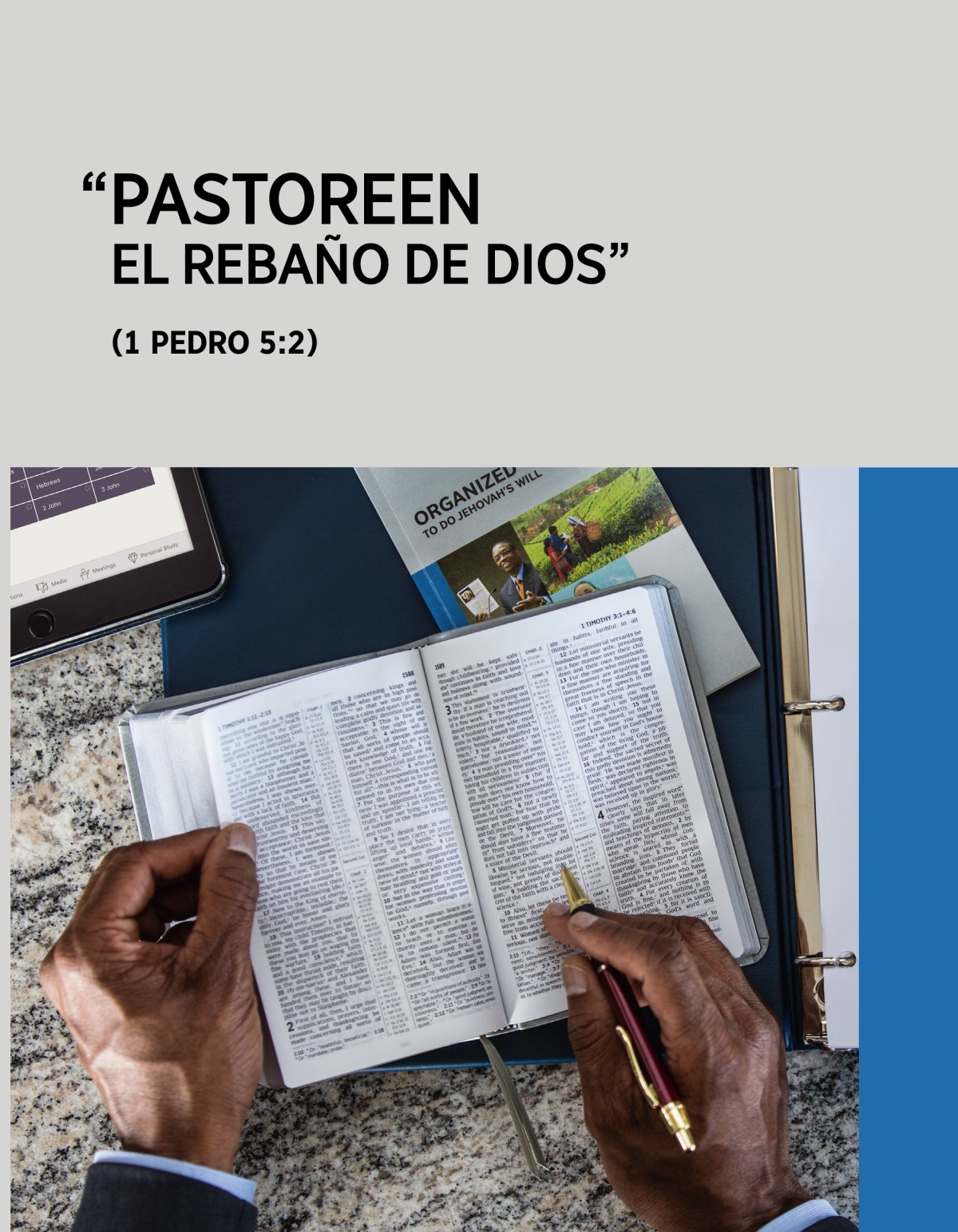 Pastoreen (sfl-S) ebook cover