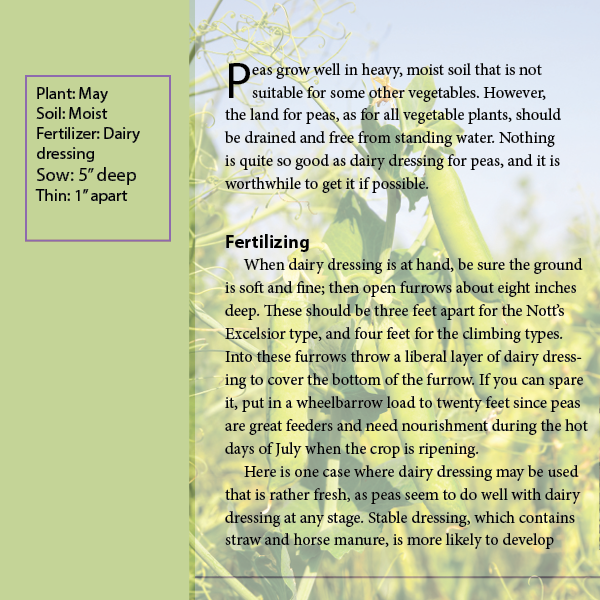 Class Demo 1 ebook cover