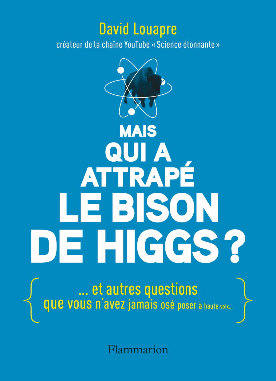 Mais qui a attrap&Atilde;&copy; le bison de Higgs ? ebook cover