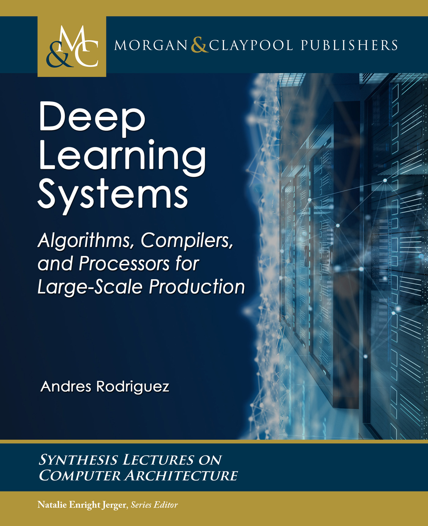 Deep Learning Systems ebook cover