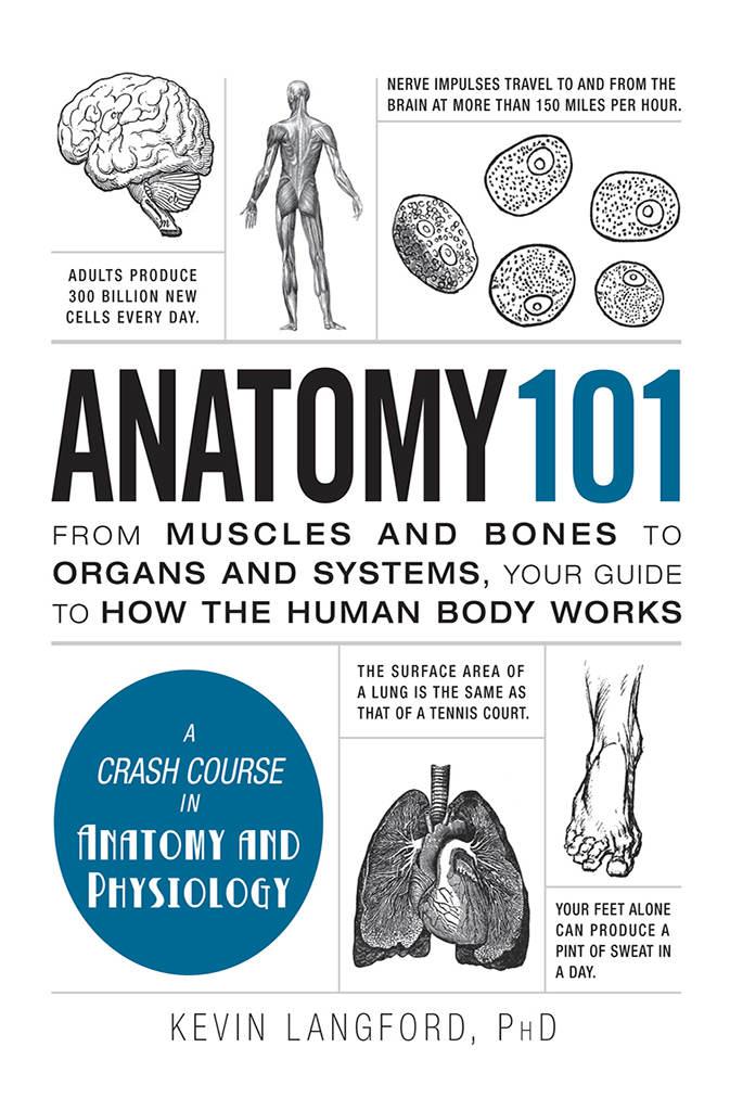 Anatomy 101: From Muscles and Bones to Organs and Systems, Your Guide to How the Human Body Works ebook cover