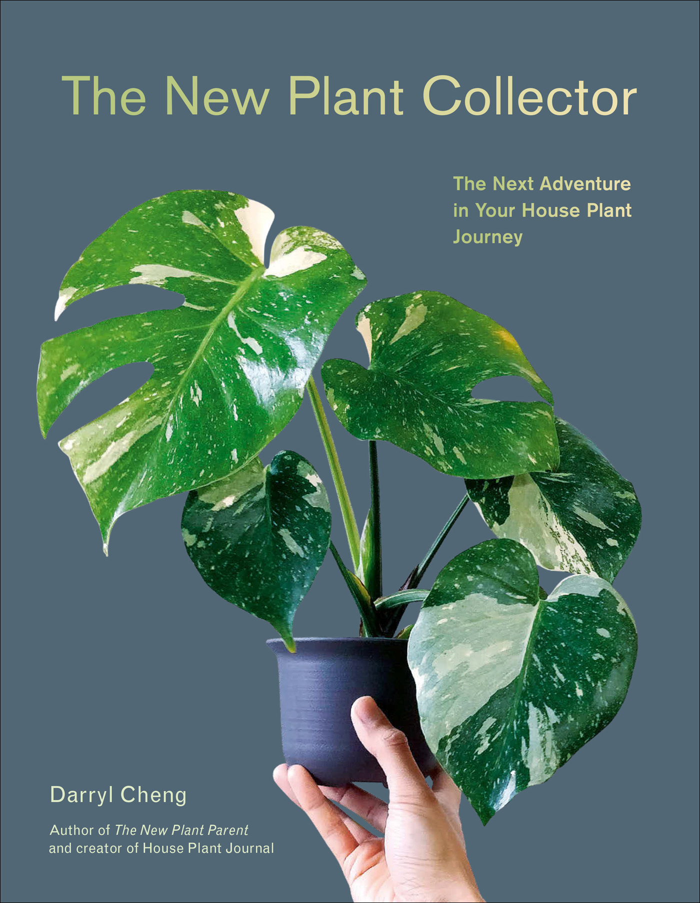 The New Plant Collector ebook cover