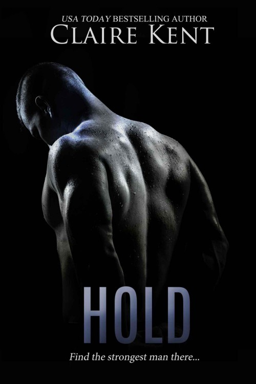 Hold ebook cover