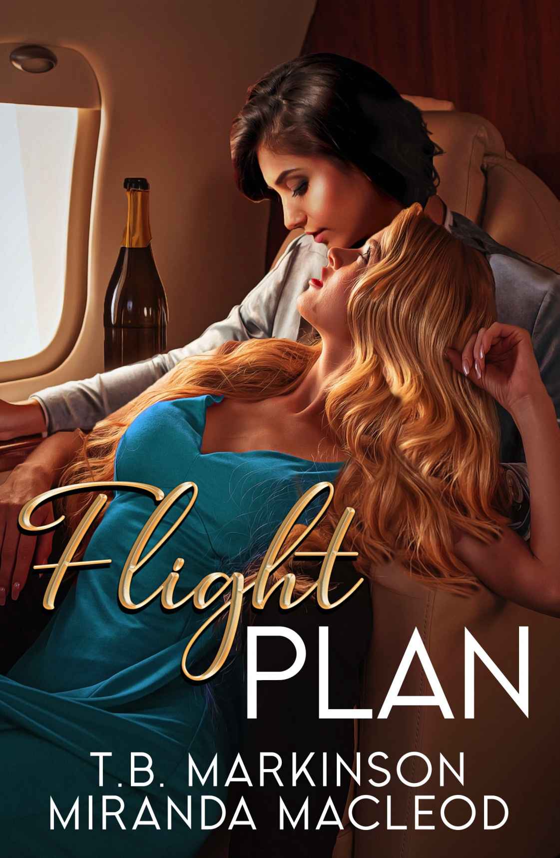Flight Plan ebook cover