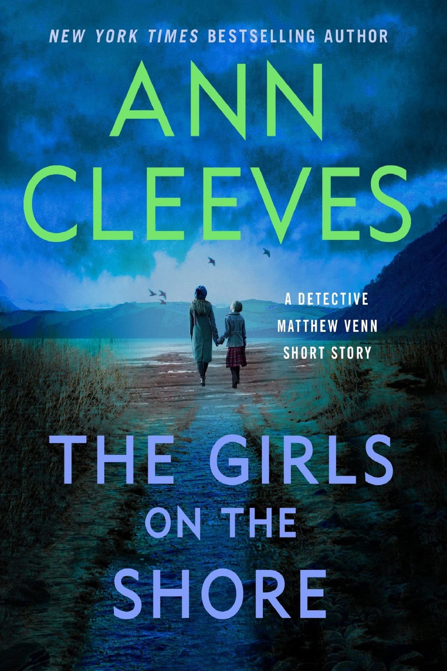 Cleeves, Ann - Two Rivers 025 - The Girls on the Shore ebook cover