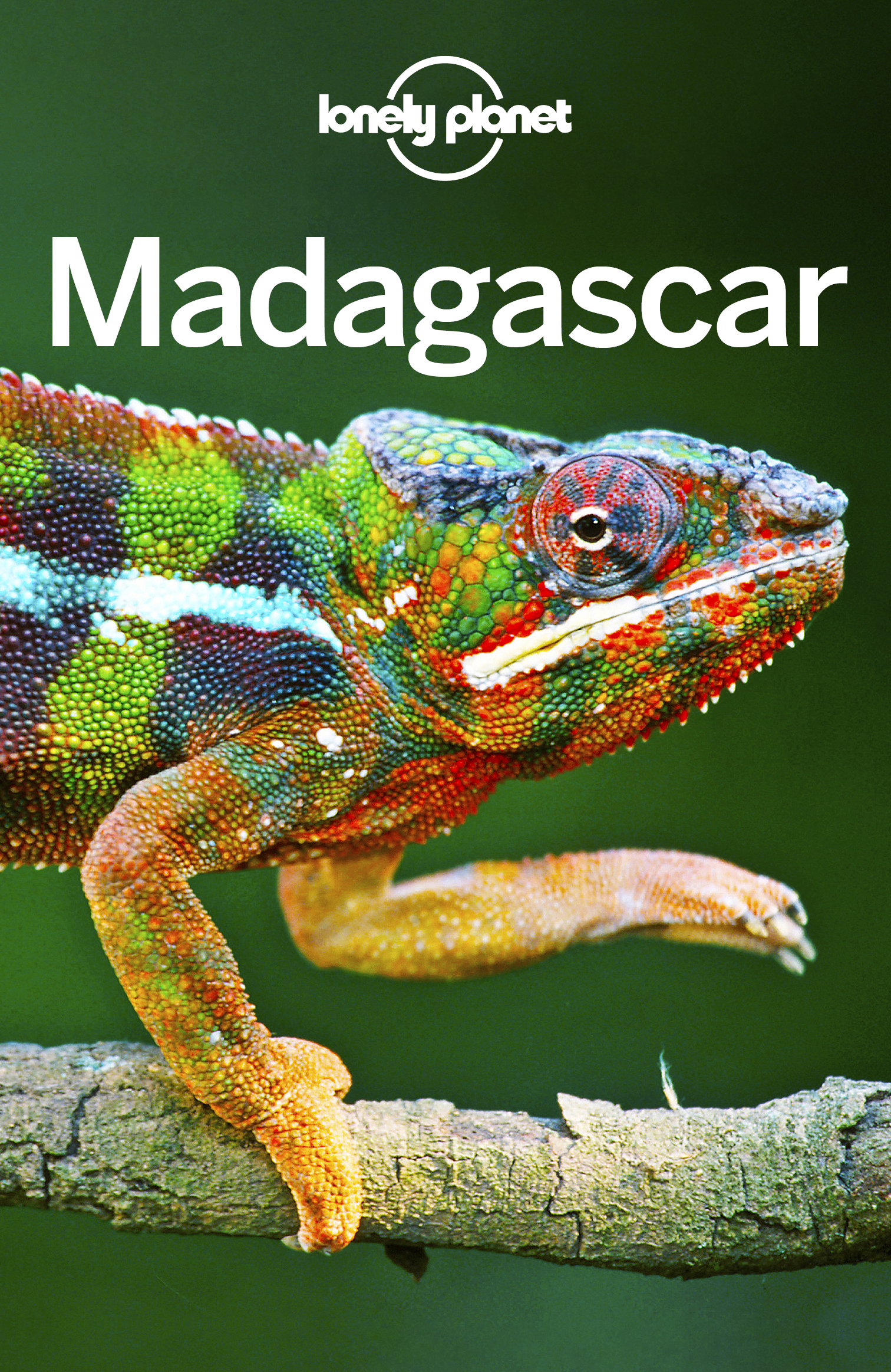 Lonely Planet Madagascar ebook cover