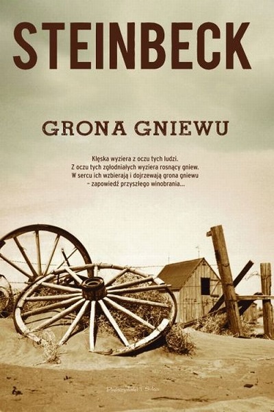 Grona gniewu ebook cover