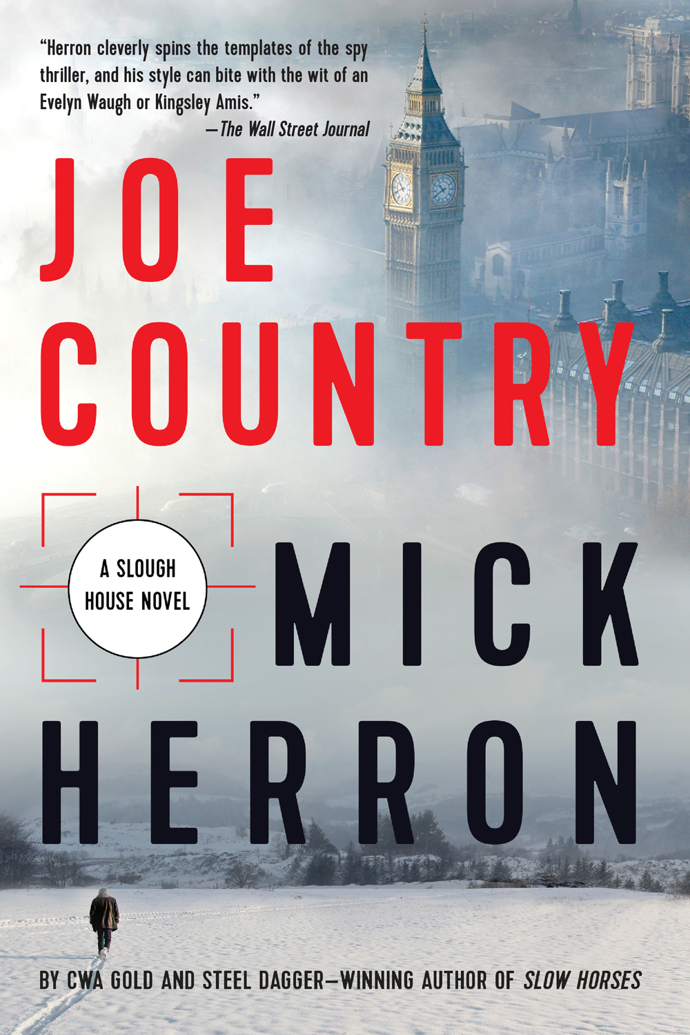 Joe Country ebook cover