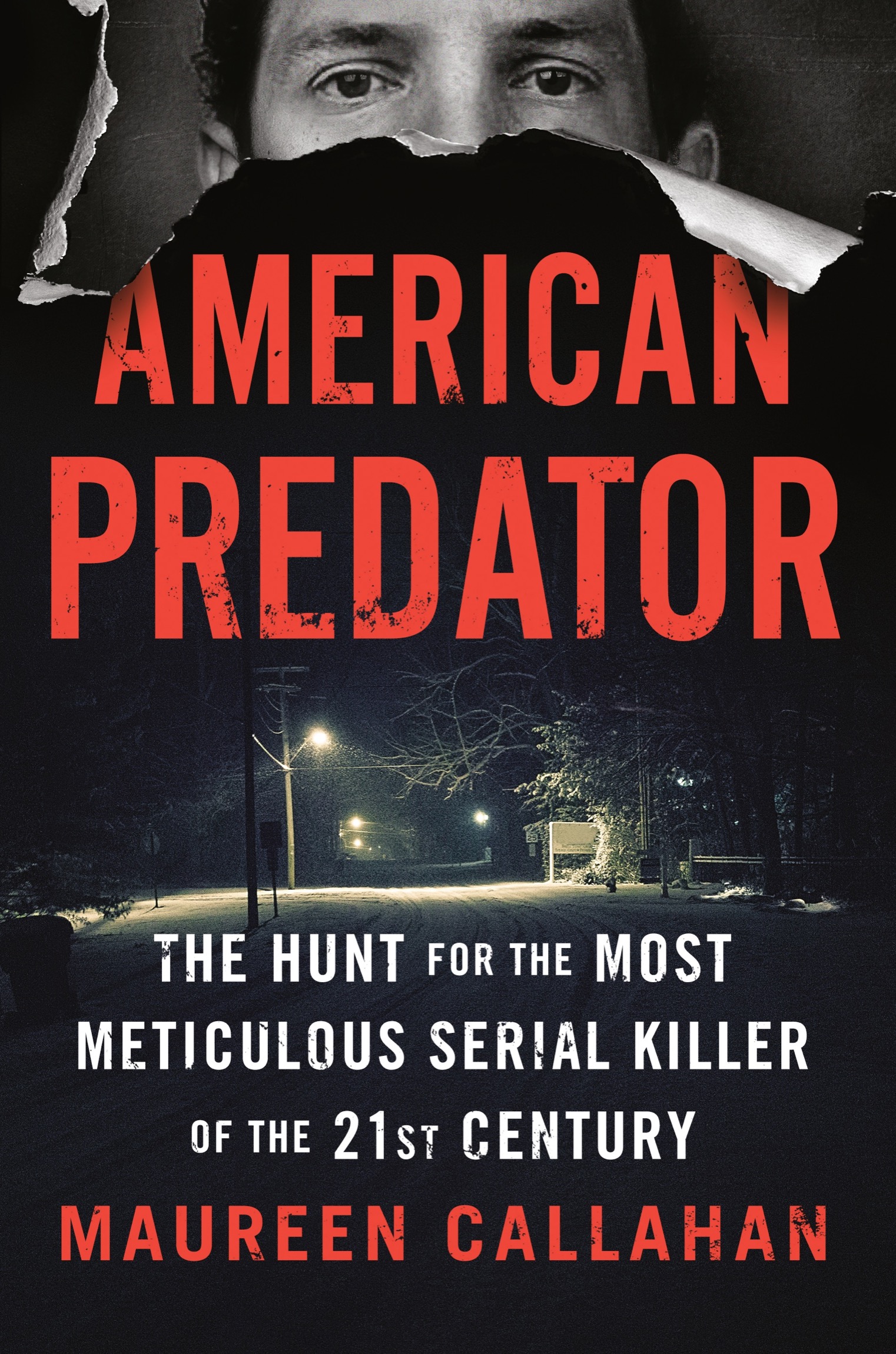 The Hunt for the Most Meticulous Serial Killer of the 21st Century ebook cover