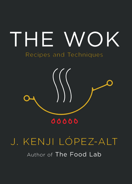 Wok : Recipes and Techniques (9780393541229) ebook cover